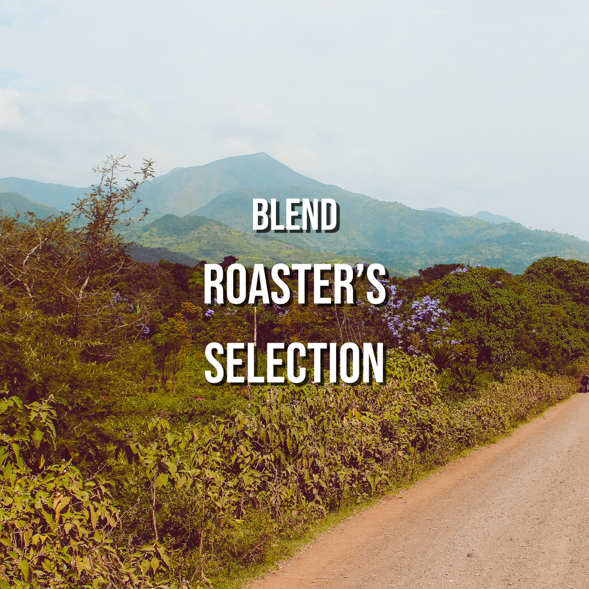 Roaster's Selection | Blend - Irving Farm New York